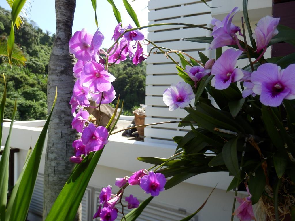 Kata Beach Studio Phuket Εξωτερικό φωτογραφία